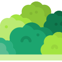 003-bush